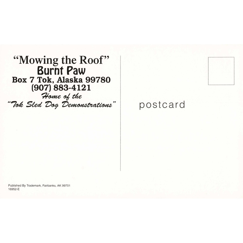 Vintage Mowing the Roof Burnt Paw Sod Roof Log Cabin Tok Alaska Postcard - Picture 2 of 2